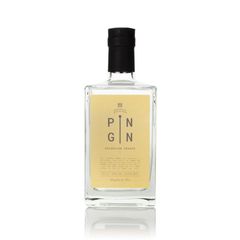 Pin Gin Valencian Orange Flavoured Gin